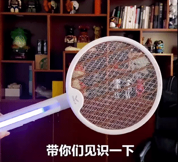 电蚊拍灭蚊灯二合一 物理灭蚊，简单粗暴更有效
